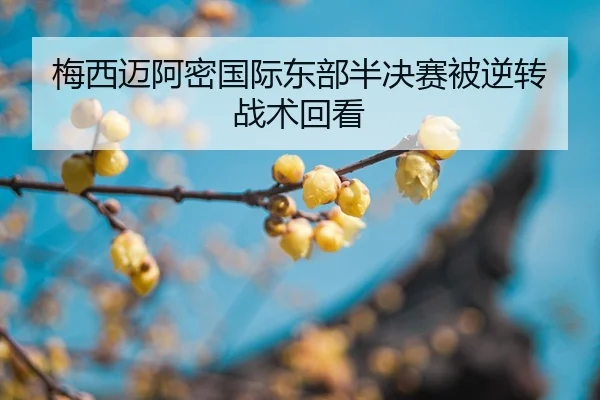 mei-xi-mai-a-mi-guo-ji-dong-bu-ban-jue-sai-bei-ni-zhuan-zhan-shu-hui-kan-2-668.jpg