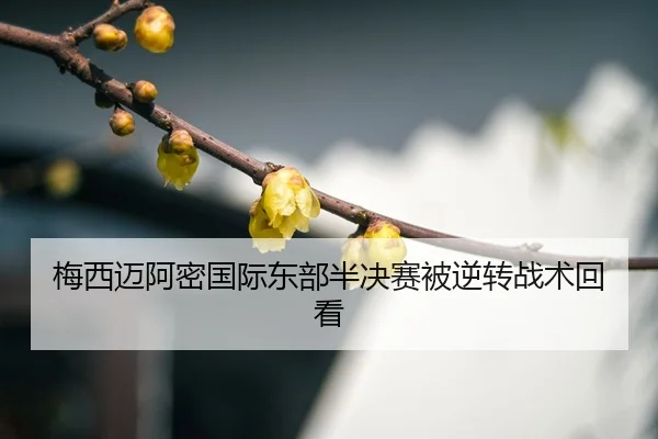 mei-xi-mai-a-mi-guo-ji-dong-bu-ban-jue-sai-bei-ni-zhuan-zhan-shu-hui-kan-3-205.jpg