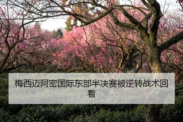 梅西迈阿密国际东部半决赛被逆转战术回看