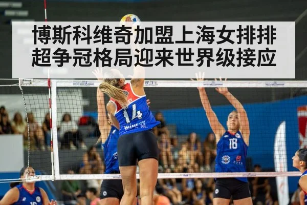 volleyball match action
